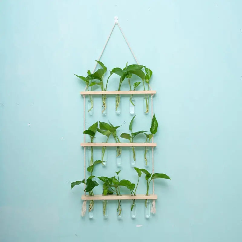 Hydroponic Vase Decor